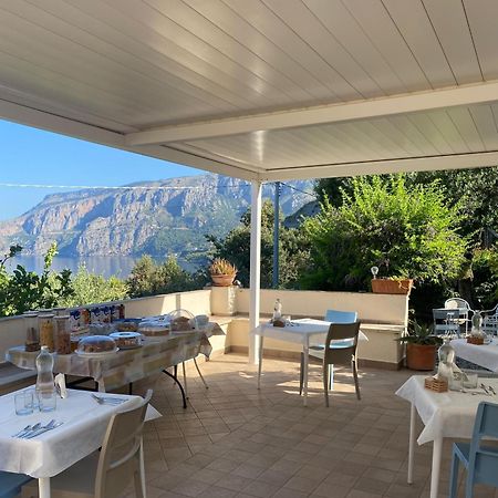 Villa Caterina Affittacamere Maratea Exterior foto